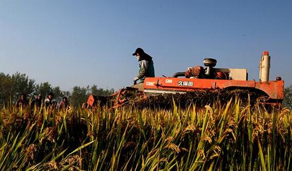 QQ截图20161207103622