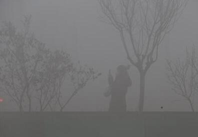 QQ截图20161209103635