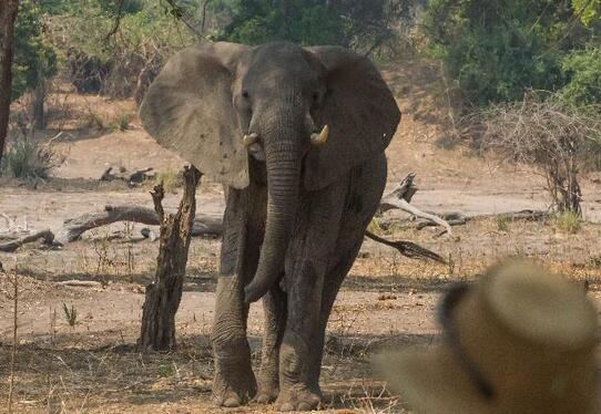 QQ截图20170106154443