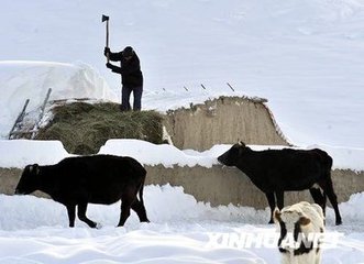 新疆克孜勒苏州遭遇雪灾1700余人需紧急生活救助