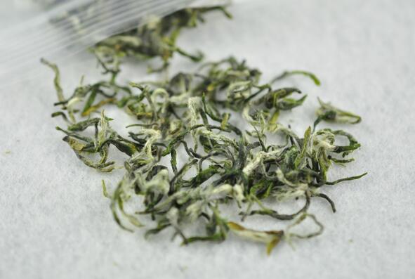 今春新茶或3月底上市现市面上出现太多