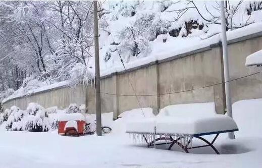 宝鸡4县区10个镇受雪灾经济损失近700万元