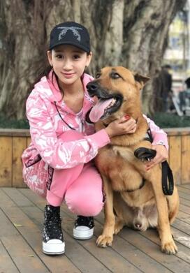 《警花与警犬》姊妹篇《警犬来啦》开机