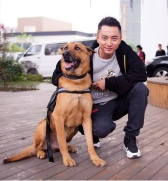 《警花与警犬》姊妹篇《警犬来啦》开机