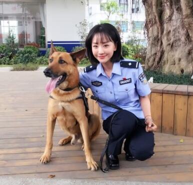 《警花与警犬》姊妹篇《警犬来啦》开机