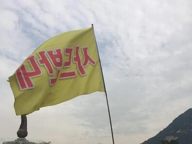 韩民团在总统府前抗议示威要求停止