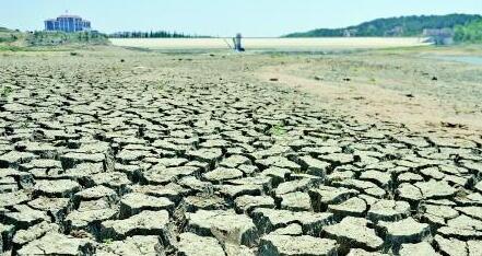胶东四市旱灾:400座小水库干涸河底干裂长满草