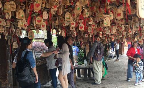 丽江旅发委查处16家旅行社127导游:违规安排购物