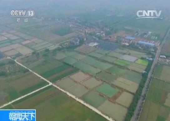 2016年全国耕地面积较2015年减少但质量有所提升
