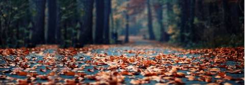 20171012104404_14c207903aa1982982b90d2ed41b49e1_1