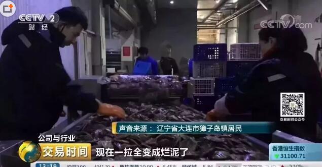 獐子岛
