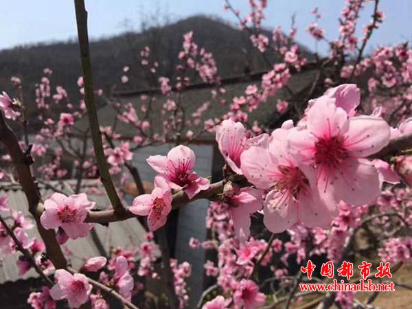 微信截图_20180403082517