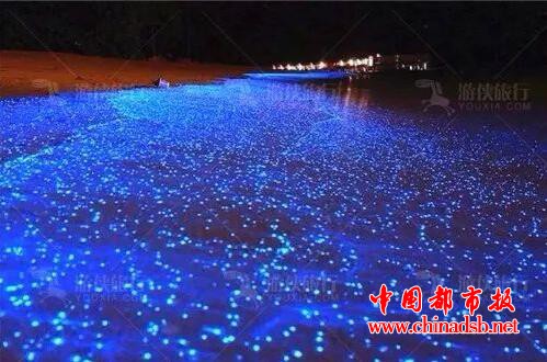  山东现荧光海滩