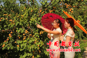 图片2
