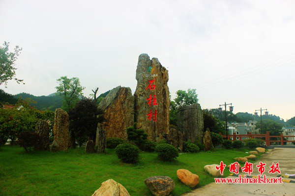 图片1