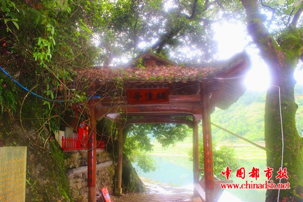 图片7