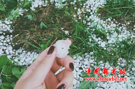 黑河遭遇冰雹雨