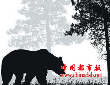 调皮黑熊外逃被捕是怎么回事？回顾被捕经过
