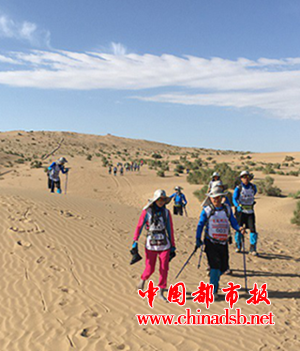 图片15