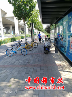 图片8