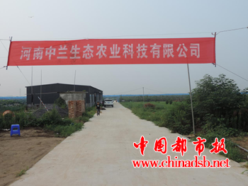 图片19