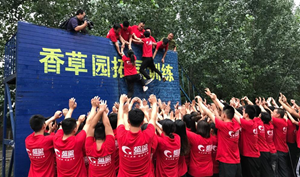 图片5
