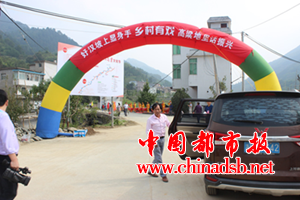 图片10