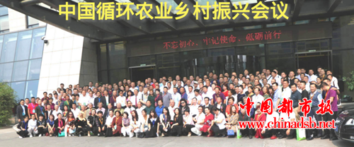 图片7