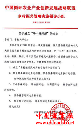 图片8
