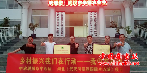 图片14