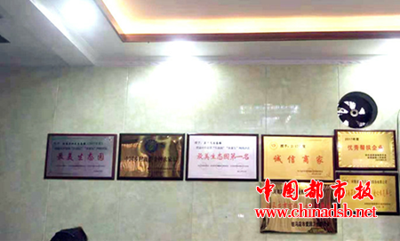 图片5