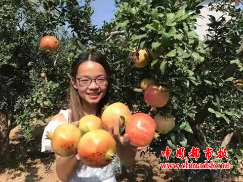 微信图片_20181115084156