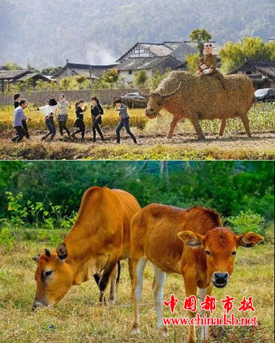图片19