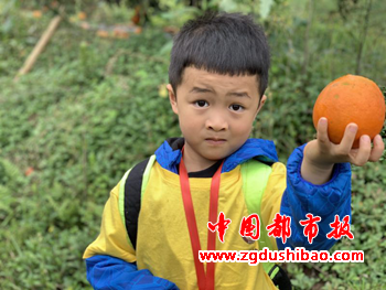 图片21