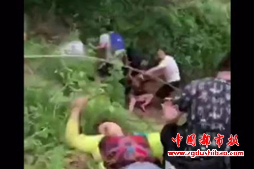 图片6