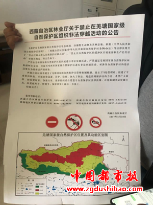 图片11