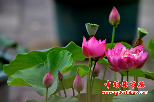 图片16