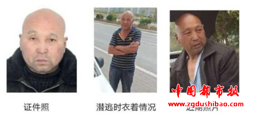 图片1