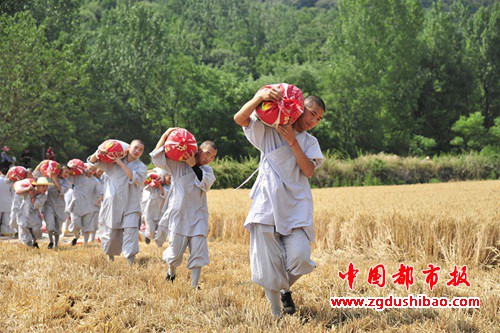 图片9