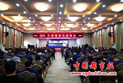 图片13