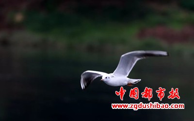图片2