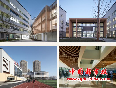 图片5
