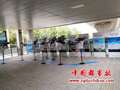 图片36