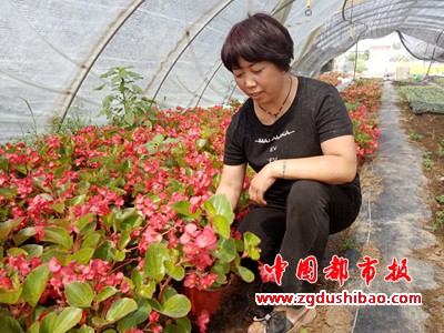 图片1