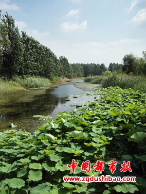 微信图片_20200613090020