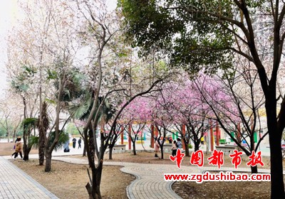 图片47