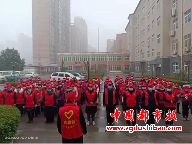 图片8