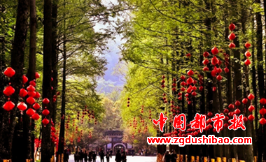 图片5