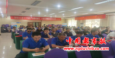 图片9