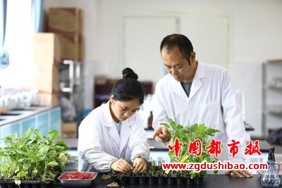 图片6